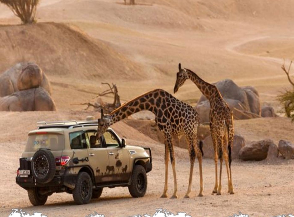 Discover Brazil